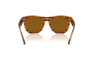 Achteraanzicht Ray-Ban WAYFARER REVERSE (RBR0502S - 679183)