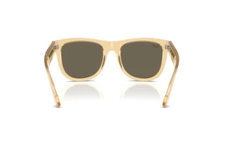 Achteraanzicht Ray-Ban WAYFARER REVERSE (RBR0502S - 68215A)