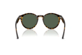 Achteraanzicht Ray-Ban RBR0505S (6790VR)