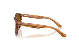 Zijaanzicht Ray-Ban RBR0505S (679183)