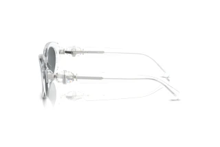 Zijaanzicht Swarovski SK6002 (102787)