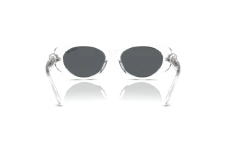 Achteraanzicht Swarovski SK6002 (102787)