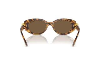 Achteraanzicht Swarovski SK6002 (104073)