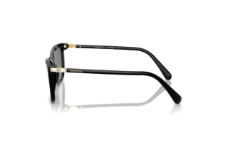 Zijaanzicht Swarovski SK6004 (100181)