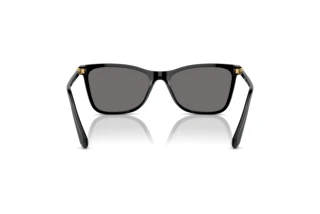 Achteraanzicht Swarovski SK6004 (100181)