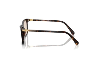 Zijaanzicht Swarovski SK6004 (1002M4)
