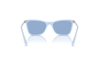 Achteraanzicht Swarovski SK6004 (10061U)