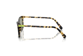 Zijaanzicht Swarovski SK6004 (1009/2)