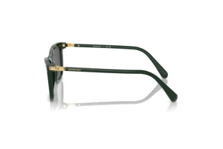 Zijaanzicht Swarovski SK6004 (102687)