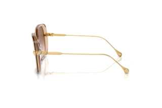 Zijaanzicht Swarovski SK6011 (103413)
