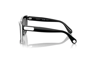 Zijaanzicht Swarovski SK6013 (101581)