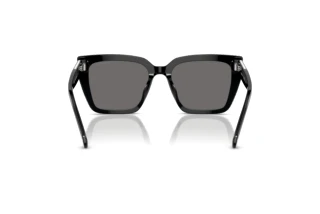 Achteraanzicht Swarovski SK6013 (101581)