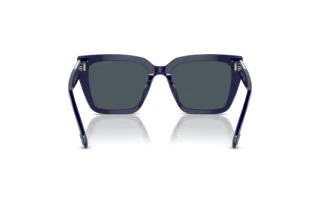 Achteraanzicht Swarovski SK6013 (101887)