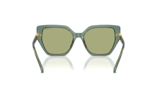 Achteraanzicht Swarovski SK6016 (104382)