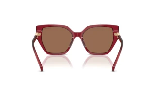 Achteraanzicht Swarovski SK6016 (105573)