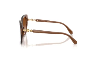 Zijaanzicht Swarovski SK6016 (106713)