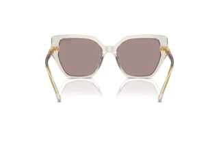 Achteraanzicht Swarovski SK6016 (3003LA)