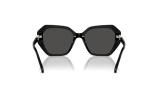 Achteraanzicht Swarovski SK6017 (100187)