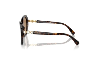 Zijaanzicht Swarovski SK6017 (1002M4)