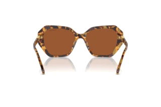 Achteraanzicht Swarovski SK6017 (100473)