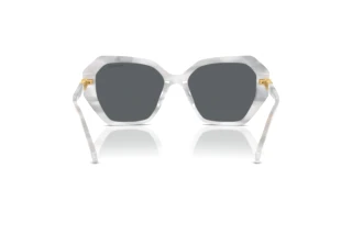 Achteraanzicht Swarovski SK6017 (104287)