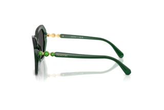 Zijaanzicht Swarovski SK6017 (104587)