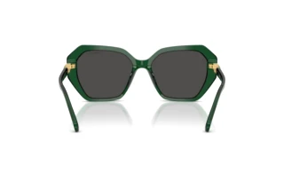 Achteraanzicht Swarovski SK6017 (104587)
