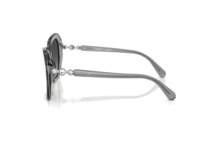Zijaanzicht Swarovski SK6017 (106211)
