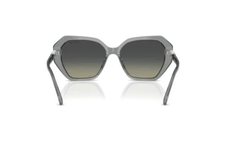 Achteraanzicht Swarovski SK6017 (106211)