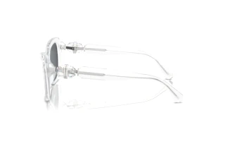 Zijaanzicht Swarovski SK6018 (102787)