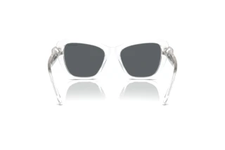 Achteraanzicht Swarovski SK6018 (102787)