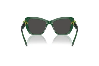 Achteraanzicht Swarovski SK6018 (104587)