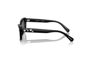 Zijaanzicht Swarovski SK6019 (100187)