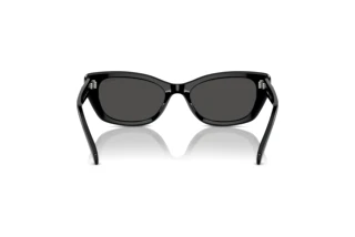 Achteraanzicht Swarovski SK6019 (100187)