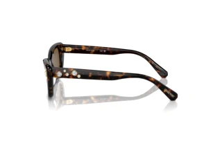Zijaanzicht Swarovski SK6019 (100273)