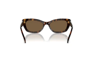 Achteraanzicht Swarovski SK6019 (100273)