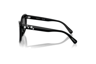 Zijaanzicht Swarovski SK6020 (100187)