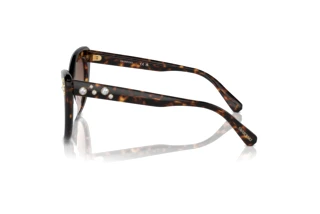 Zijaanzicht Swarovski SK6020 (100213)