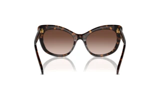 Achteraanzicht Swarovski SK6020 (100213)