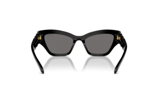 Achteraanzicht Swarovski SK6021 (100181)