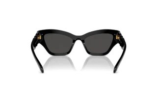 Achteraanzicht Swarovski SK6021 (100187)