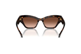 Achteraanzicht Swarovski SK6021 (10023B)