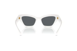 Achteraanzicht Swarovski SK6021 (105087)