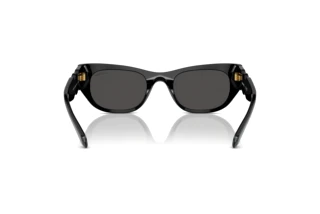 Achteraanzicht Swarovski SK6022 (100187)