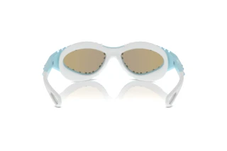 Achteraanzicht Swarovski SK6024 (105255)