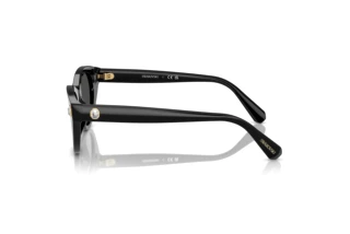 Zijaanzicht Swarovski SK6025 (100187)