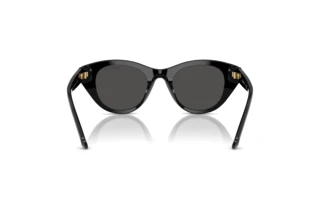 Achteraanzicht Swarovski SK6025 (100187)