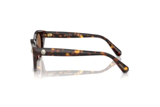 Zijaanzicht Swarovski SK6025 (100273)