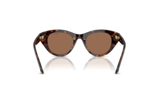 Achteraanzicht Swarovski SK6025 (100273)