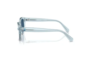 Zijaanzicht Swarovski SK6025 (106555)